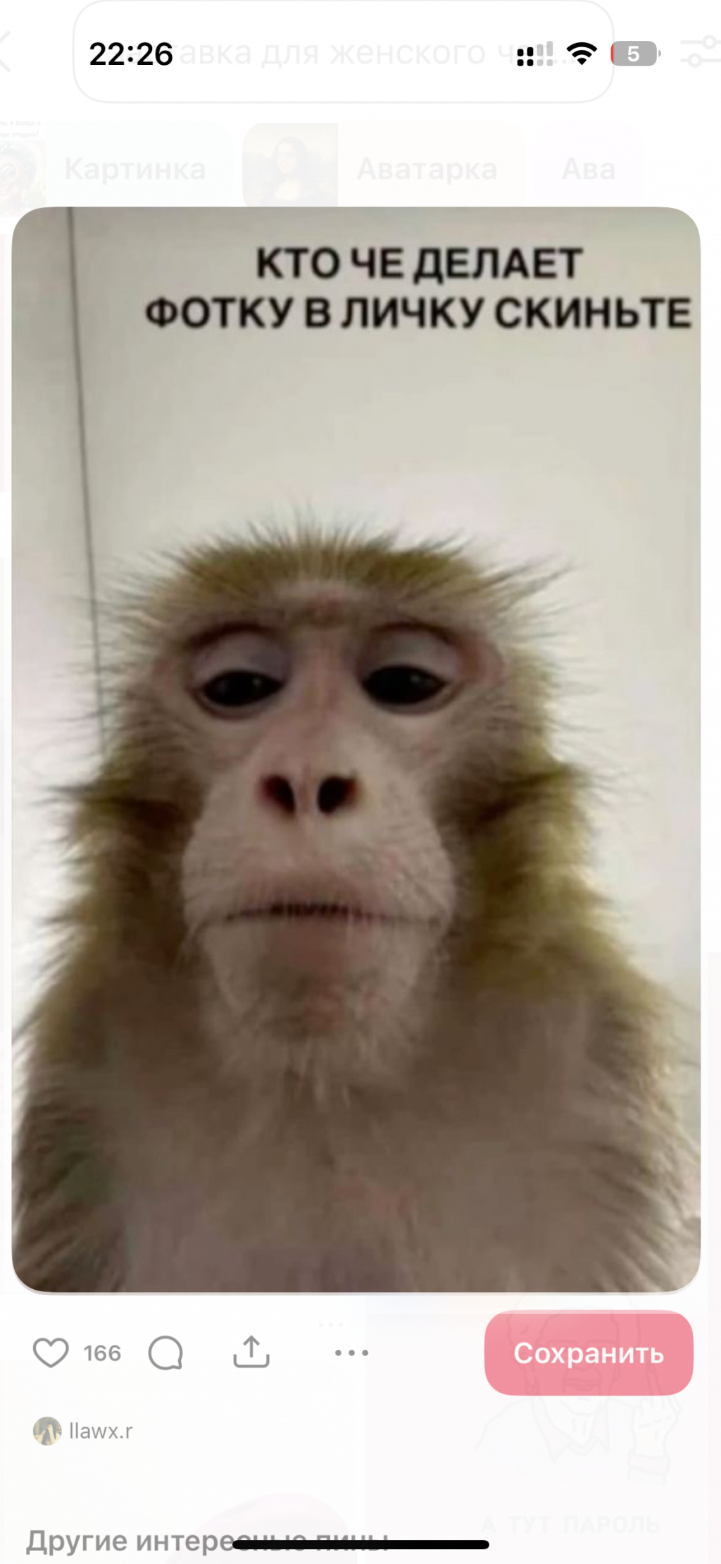 : проститутки индивидуалки в Ярославле